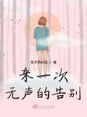 无声的告别歌词